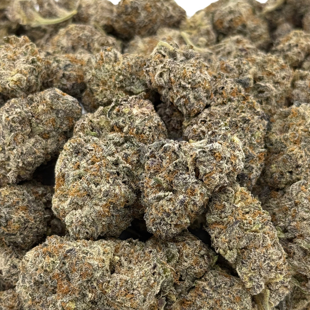 Apple Fritter