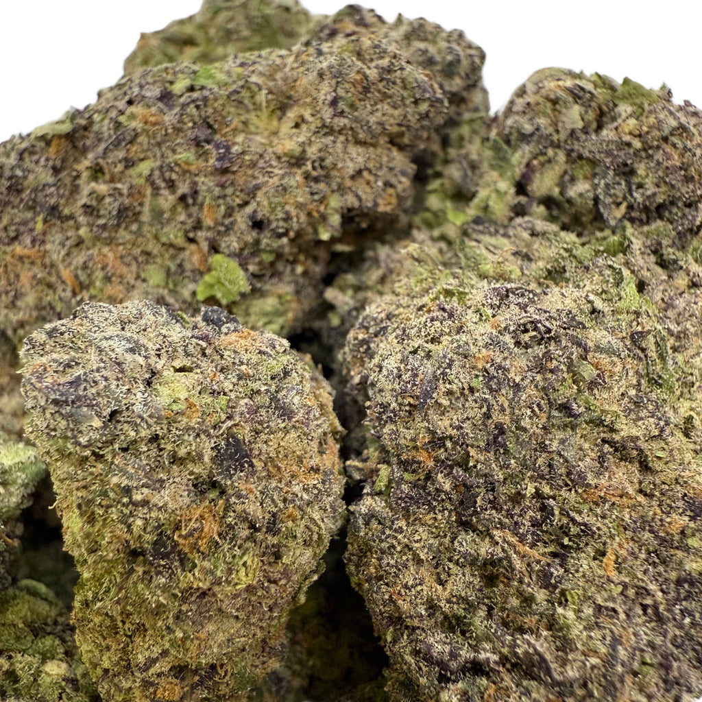 White Truffle